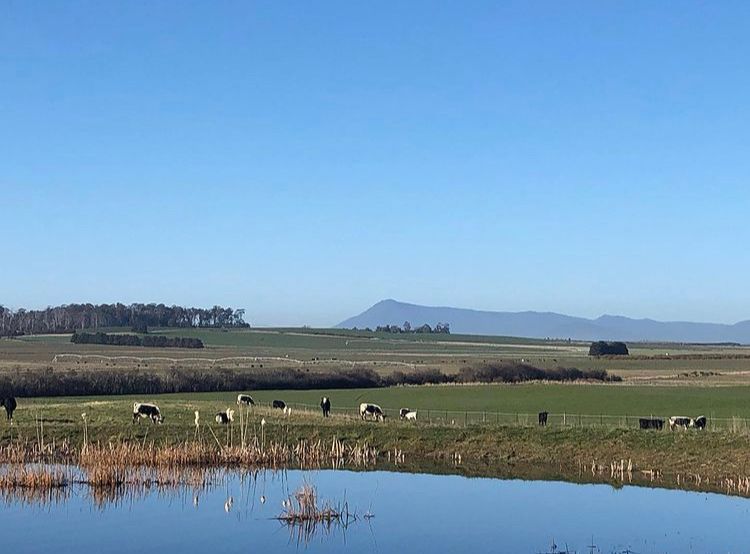 Clayfield Homestead- country accommodation Tasmania 